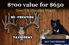 Deer/Elk Shoulder Mount - $750 value for $650